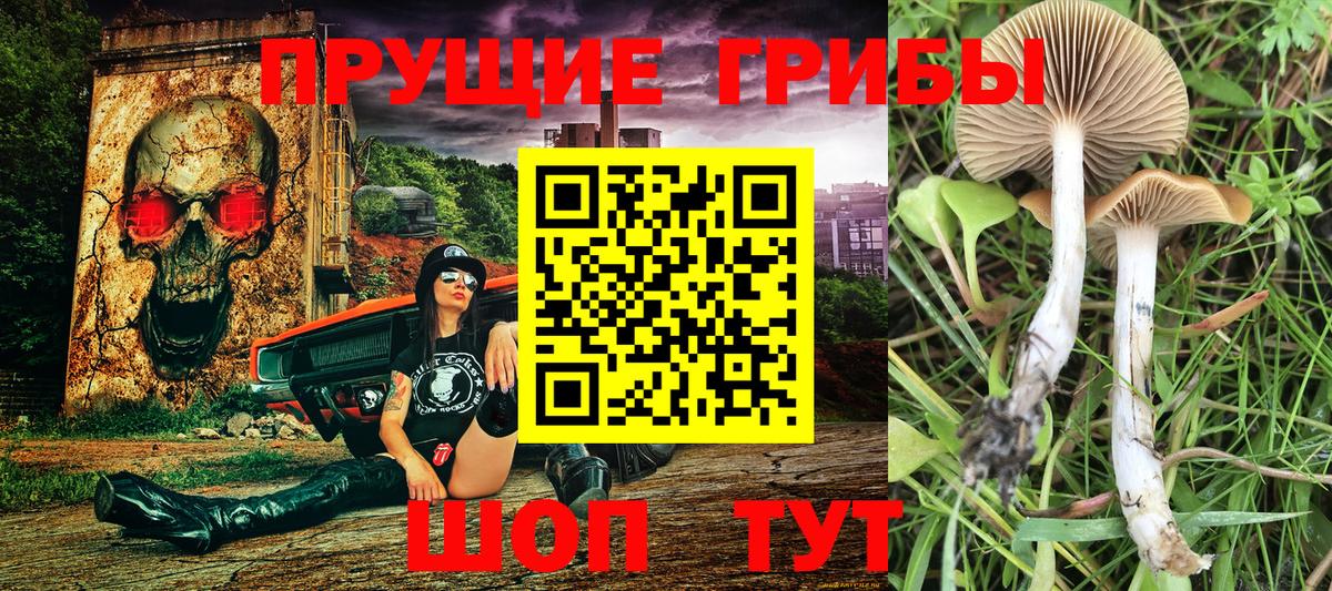 Галлюциногенные грибы прущие грибы  Вход с VPN  Нальчик 