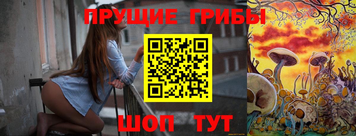 Галлюциногенные грибы Psilocybe Нальчик